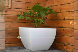 Led Pot