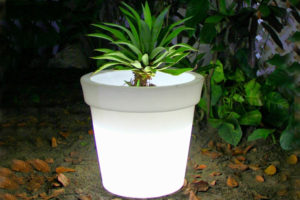 Led Pot