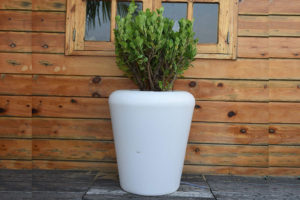 Led Pot