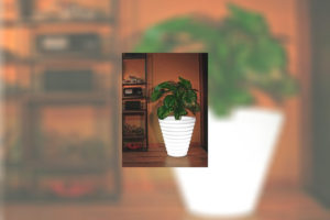 Led Pot